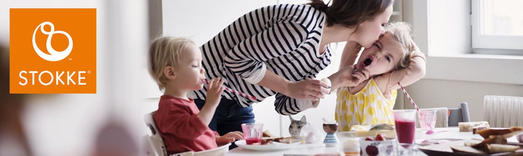 Highchair Accessories