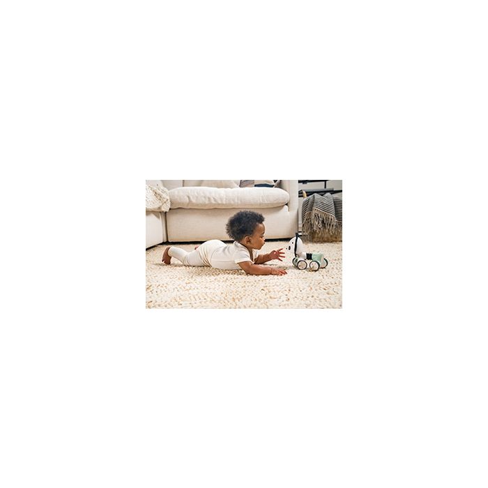 Tiny Rolling Toy - George - Black & White 