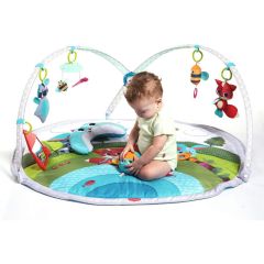 Tiny Love Playmat Dynamic Gymini™