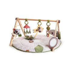 Tiny Love Boho Chic Luxe Developmental Gymini